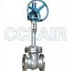 DZ40Y-40LCB，DZ40Y-40LC1，DZ40Y-40LC2，傘齒輪低溫閘閥