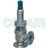 A40Y-64C，A40Y-64I，A40Y-100C，A40Y-100I，帶封閉散熱器彈簧全啟式安全閥